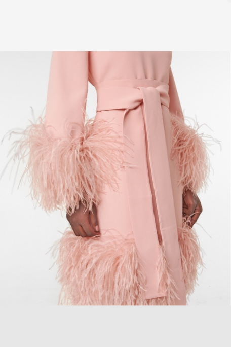 Vestido Champagne con Plumas