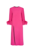 Vestido Fucsia con Plumas